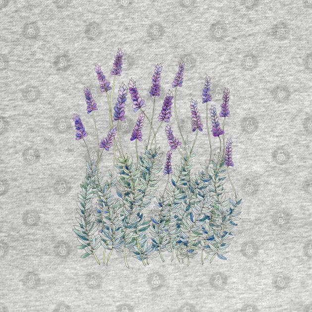 Lavender, Illustration by JessicaRose